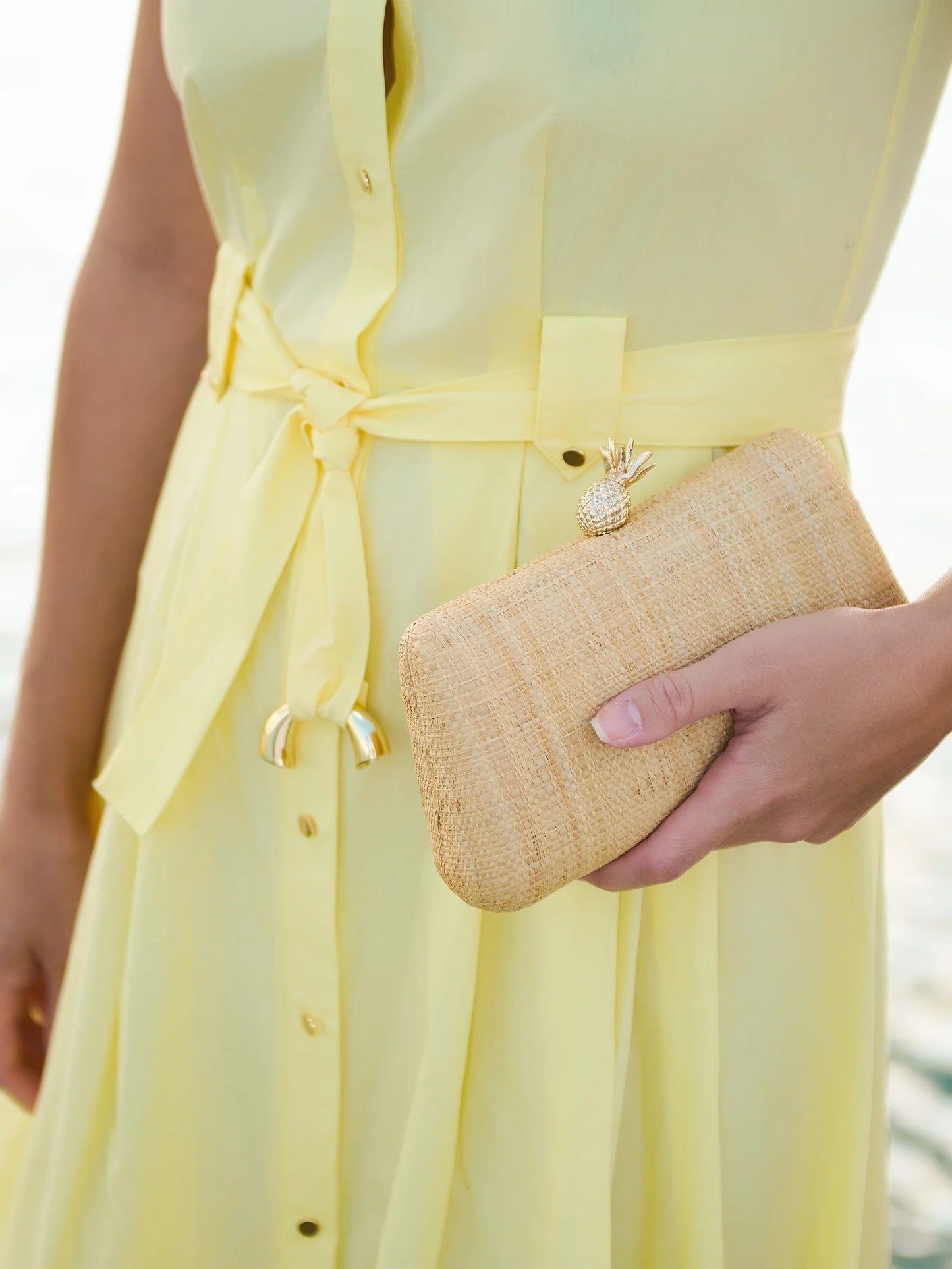 Piña Minaudière