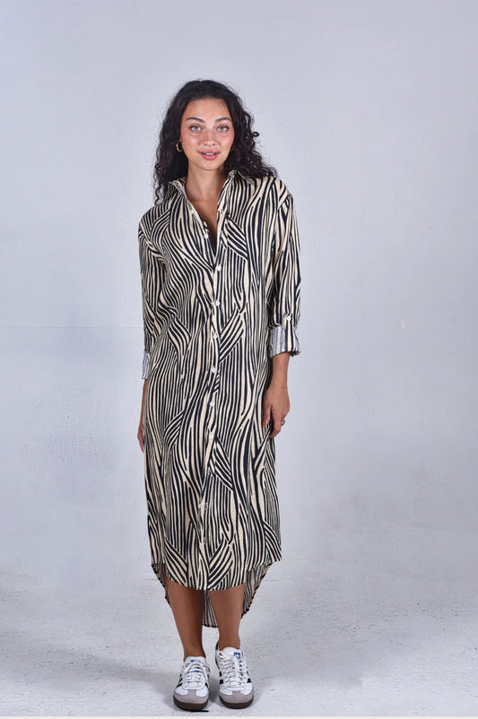 Zebra Midi